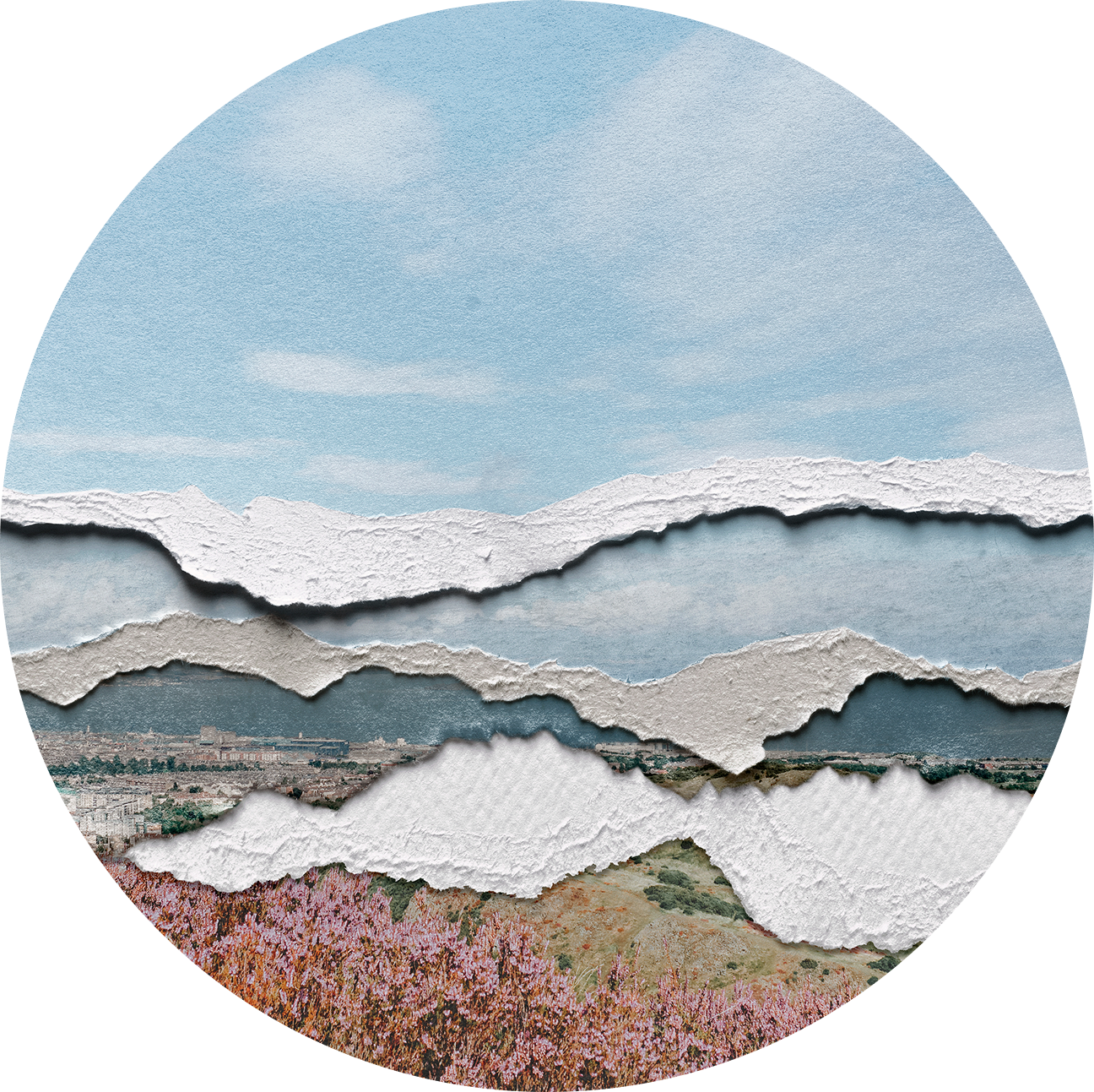 Finding purpose beyond outcomes single